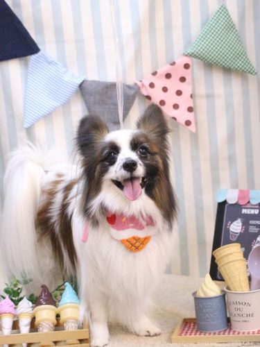 20250511マリーちゃん